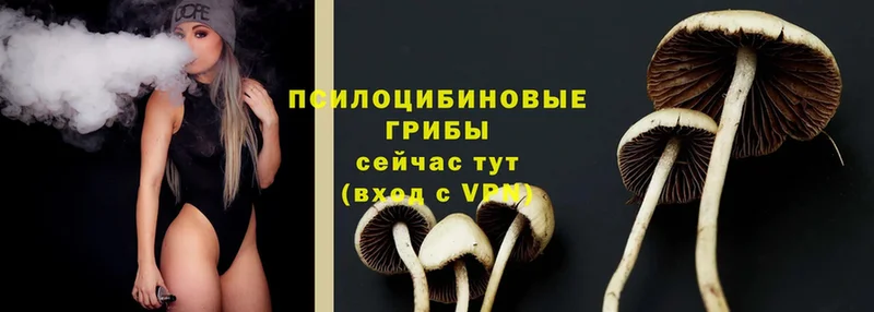 Галлюциногенные грибы Psilocybe  Уяр 